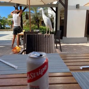 Meet your Posher, Peter